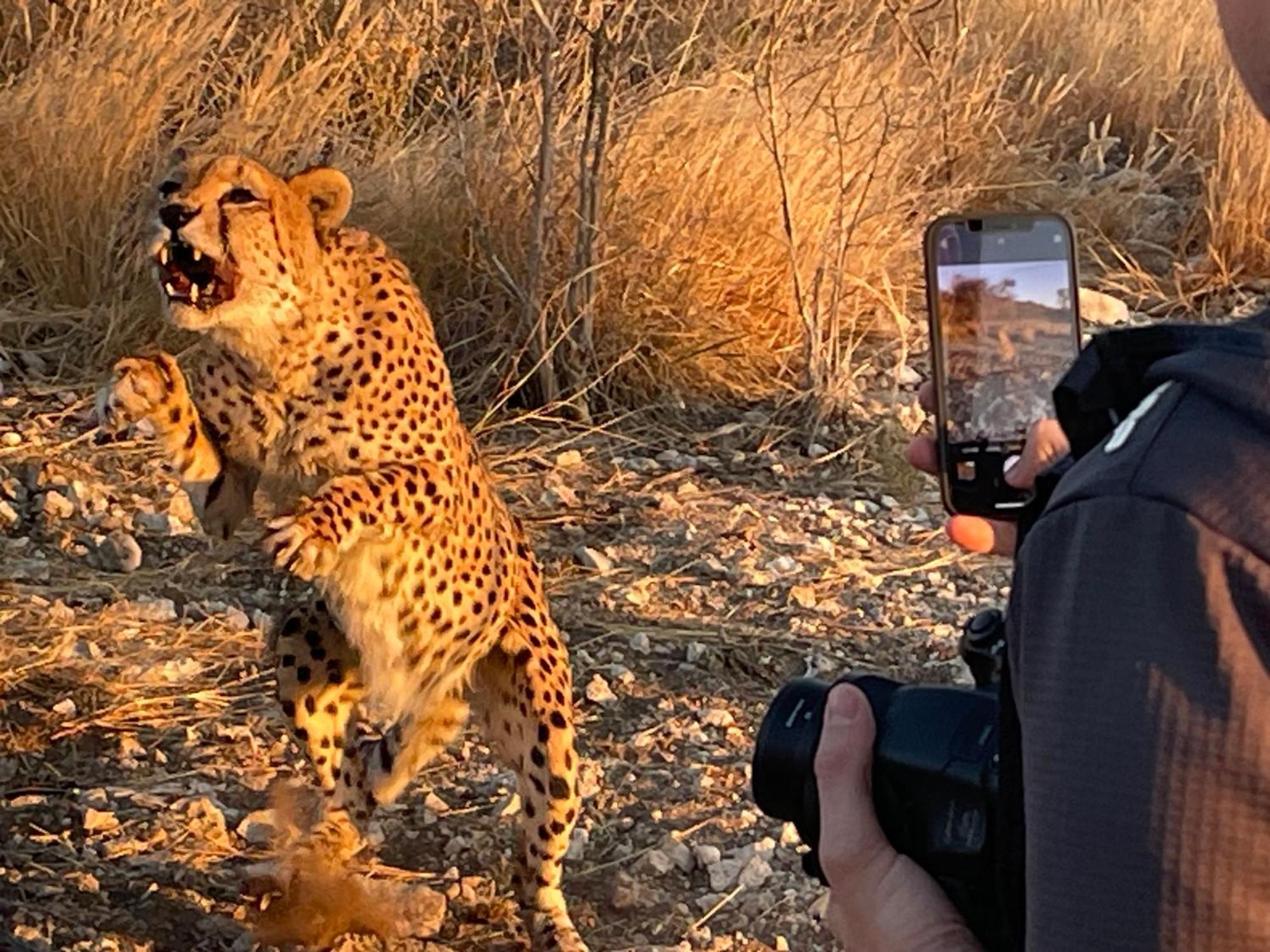 Aloegrove Safari Lodge Очиваронго Екстер'єр фото