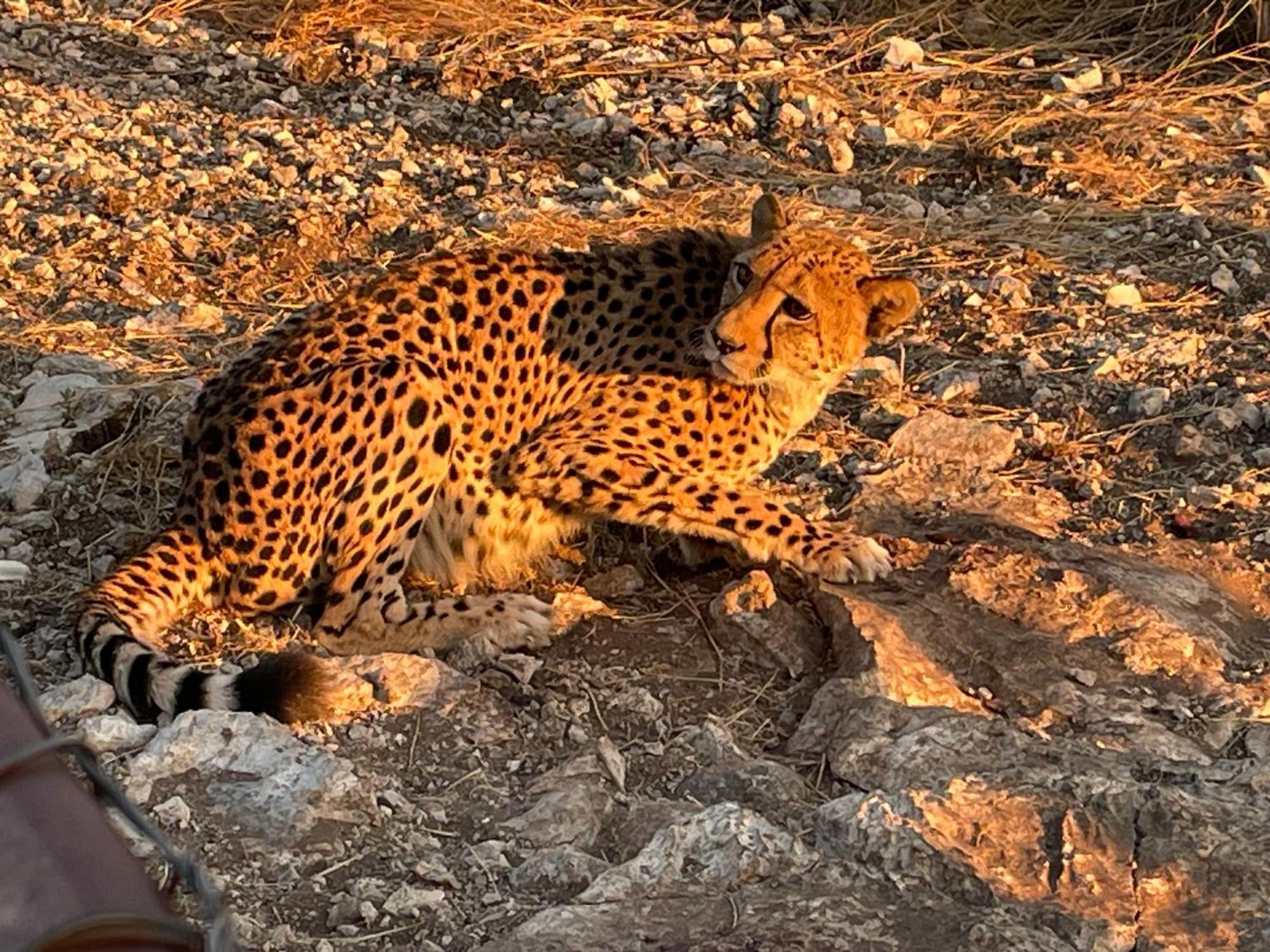 Aloegrove Safari Lodge Очиваронго Екстер'єр фото